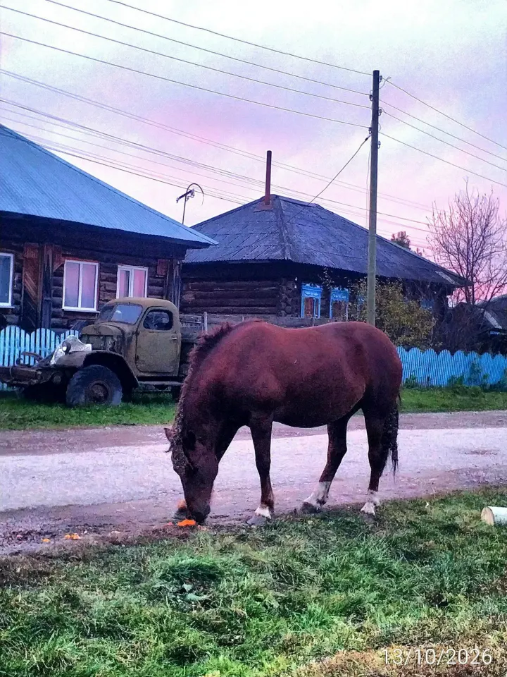 Фото из поста