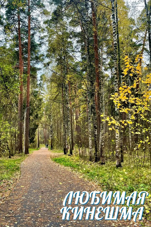 Фото из поста