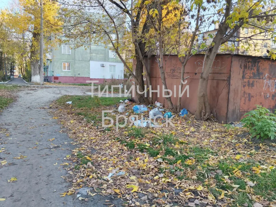 Фото из поста