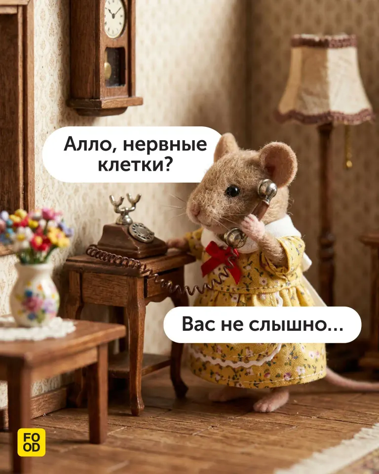 Фото из поста