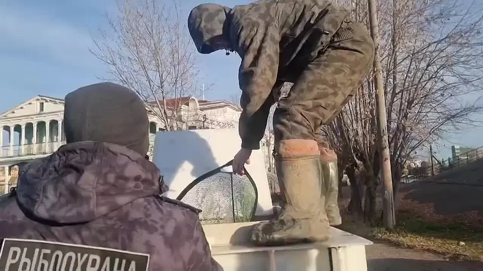 Обложка видео