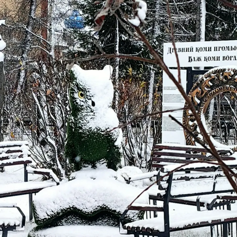 Фото из поста