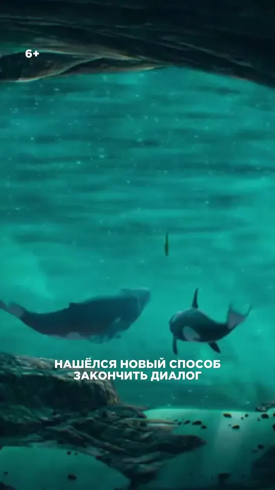 Обложка видео