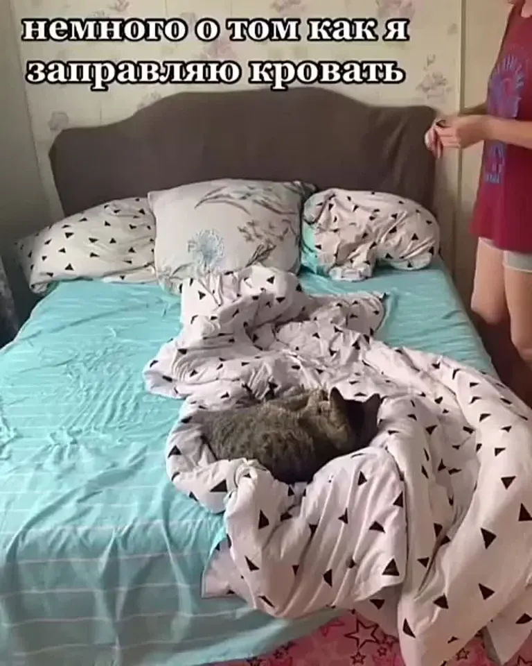 Обложка видео