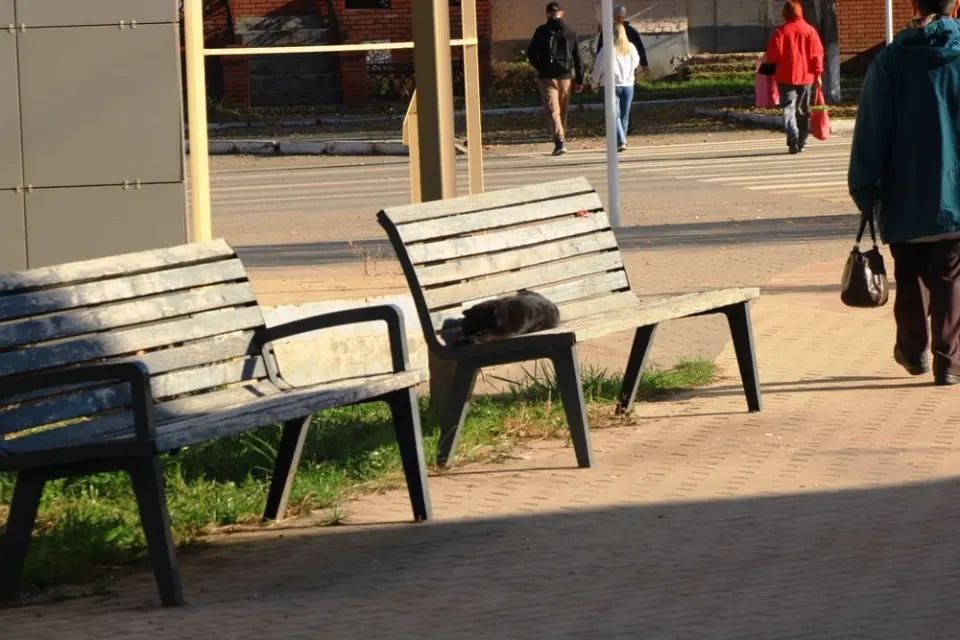 Фото из поста