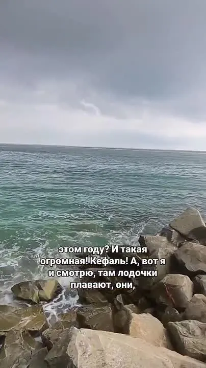 Обложка видео
