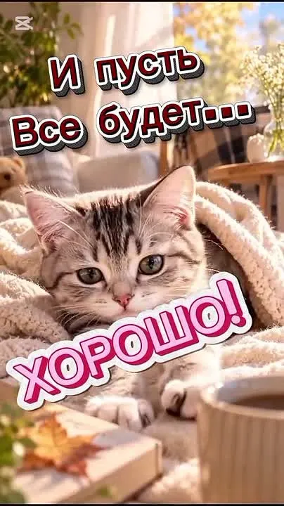 Обложка видео