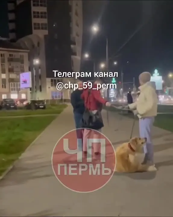 Обложка видео