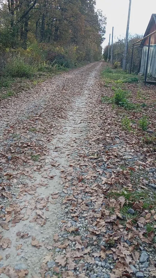 Обложка видео