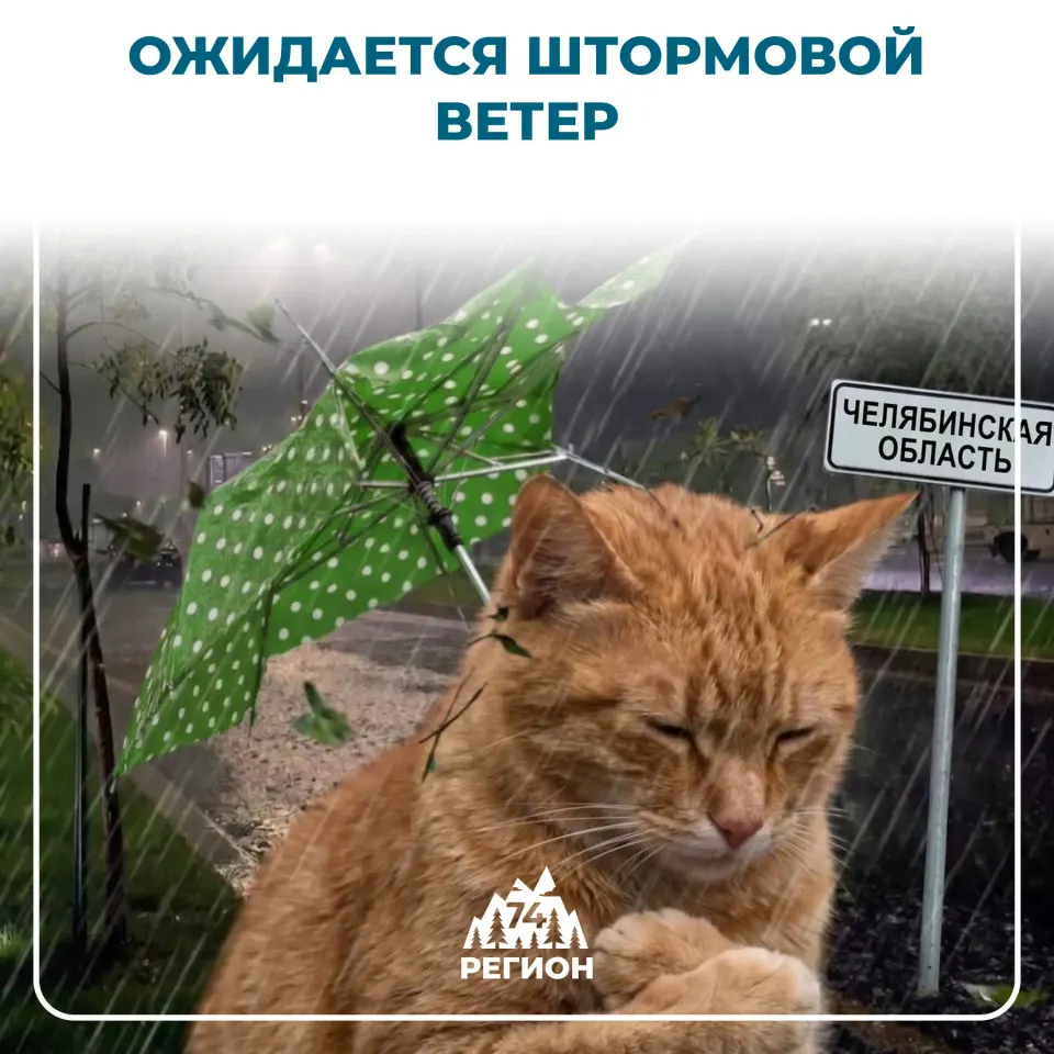 Фото из поста