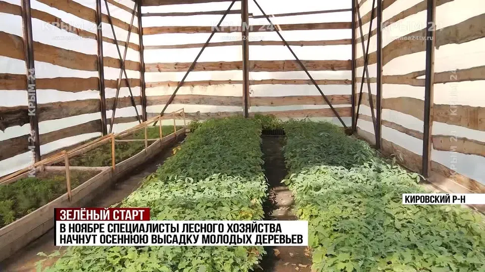 Обложка видео
