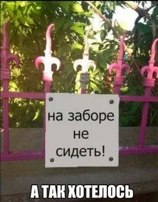 Фото из поста