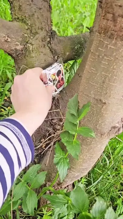 Обложка видео