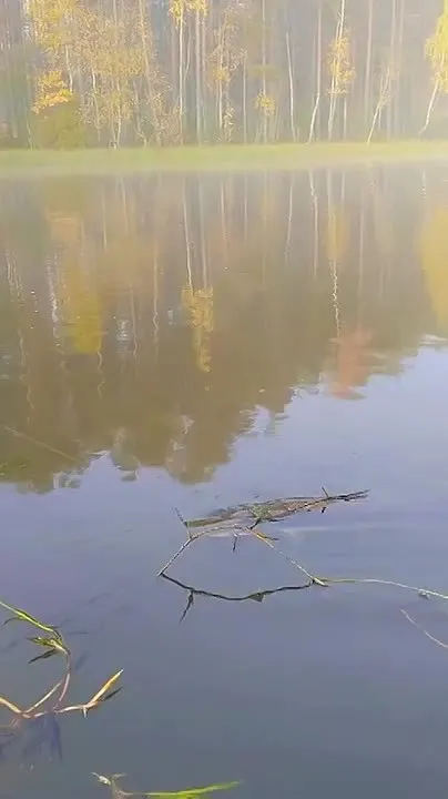 Обложка видео