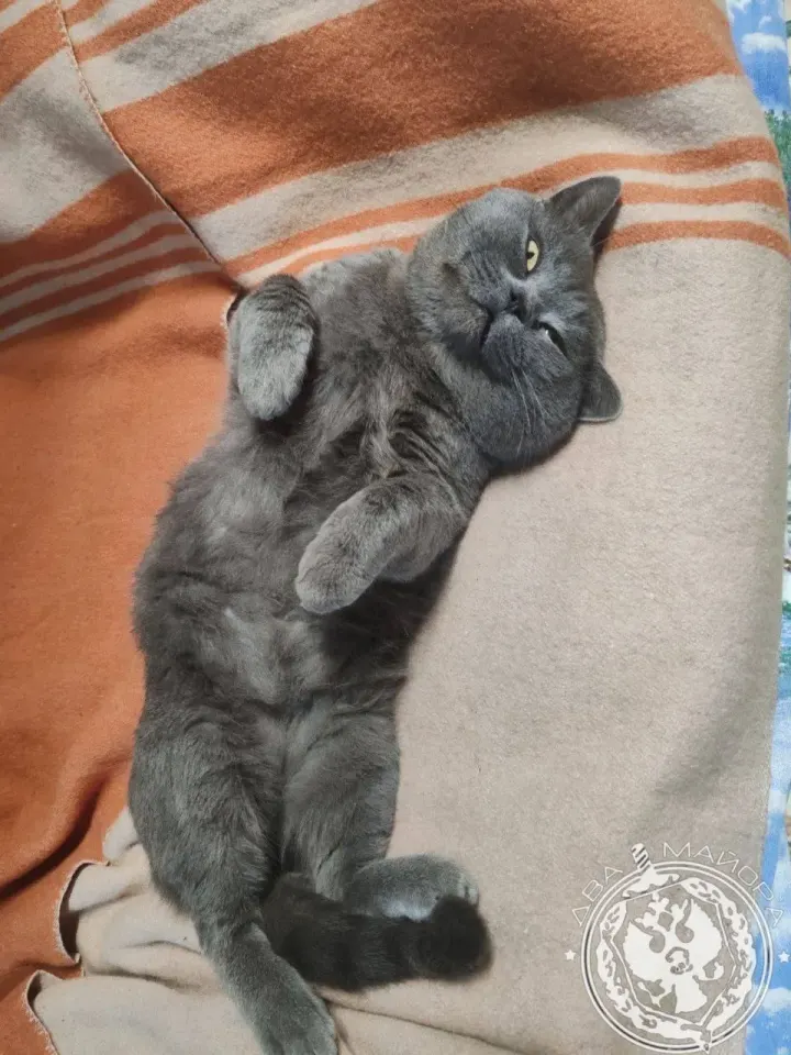 Фото из поста