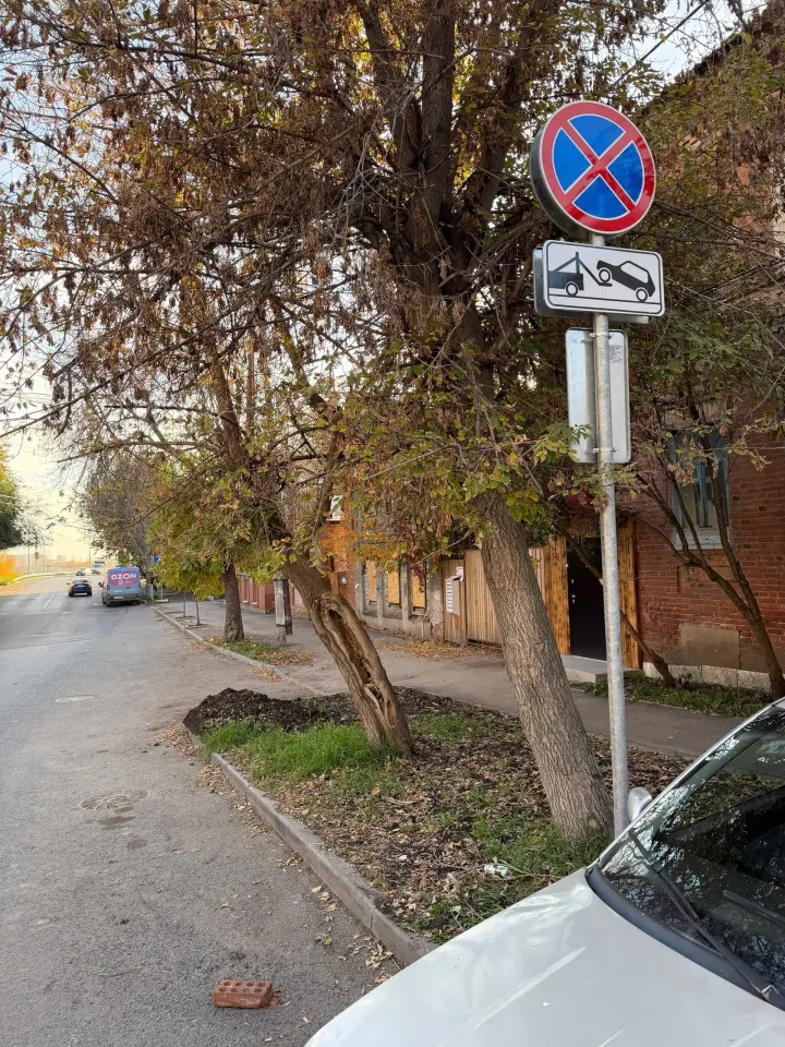 Фото из поста