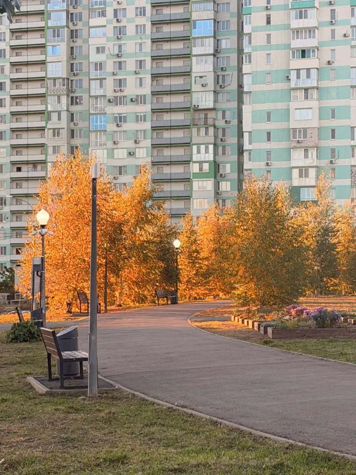 Фото из поста