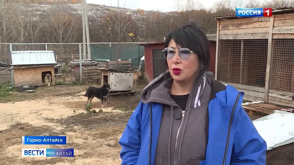 Обложка видео