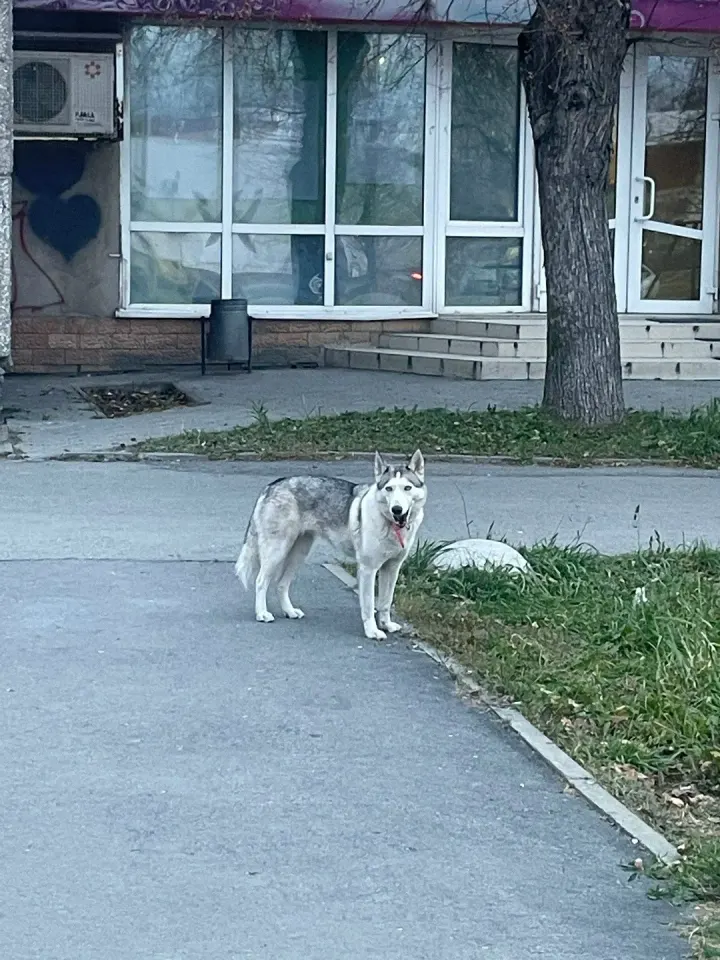 Фото из поста