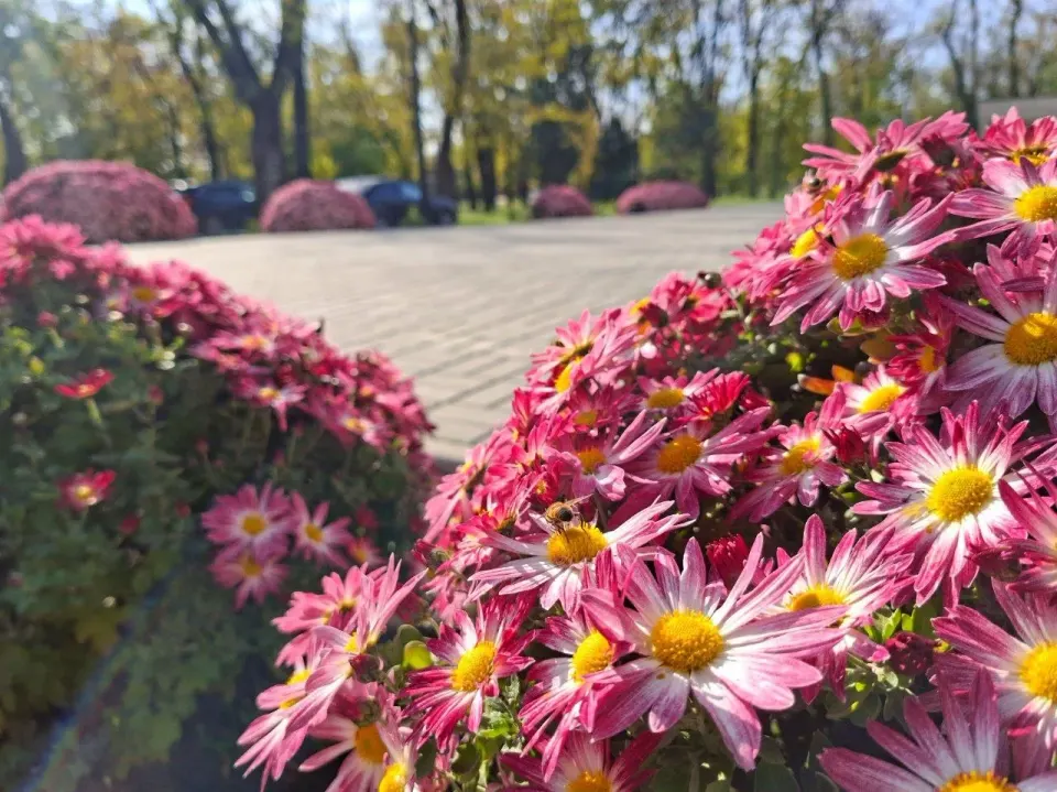 Фото из поста