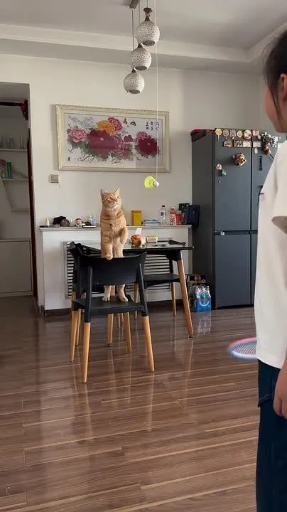 Обложка видео