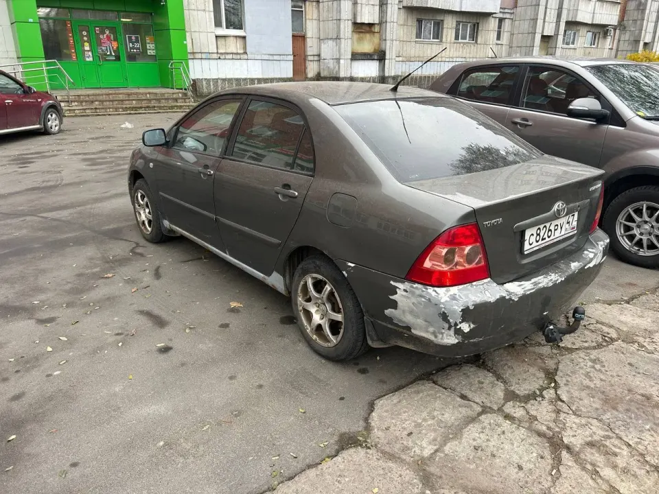 Фото из поста