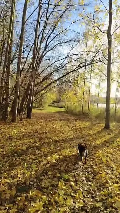 Обложка видео