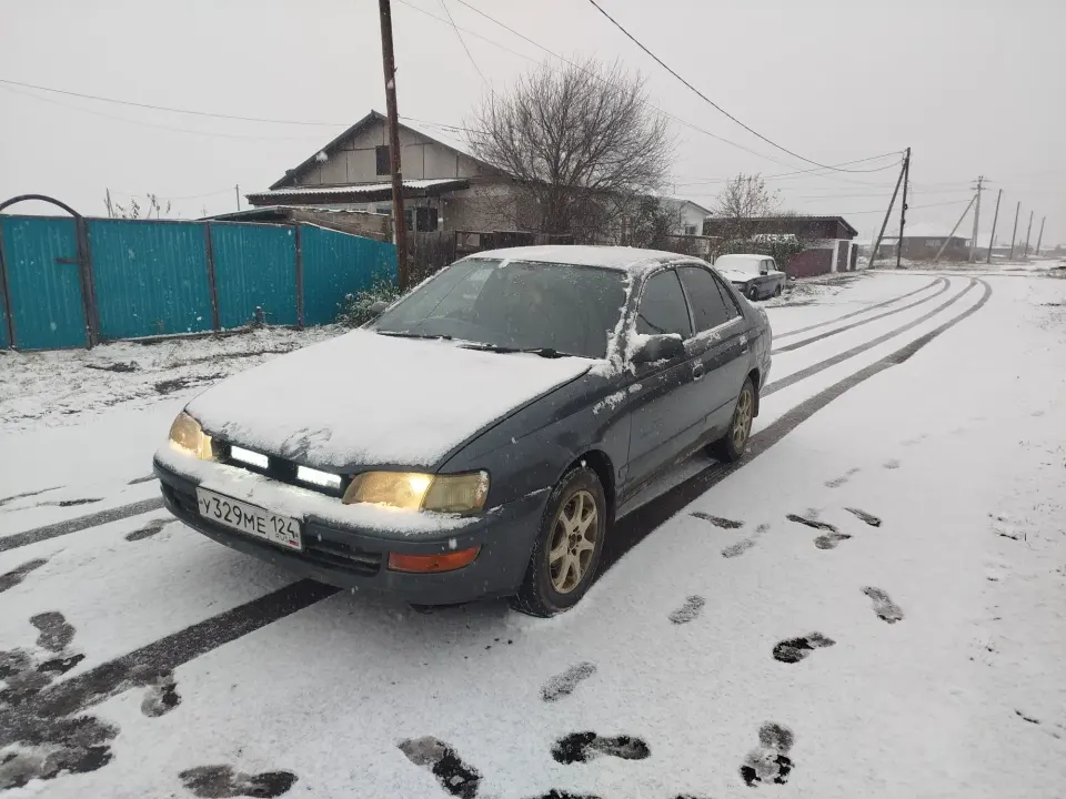 Фото из поста