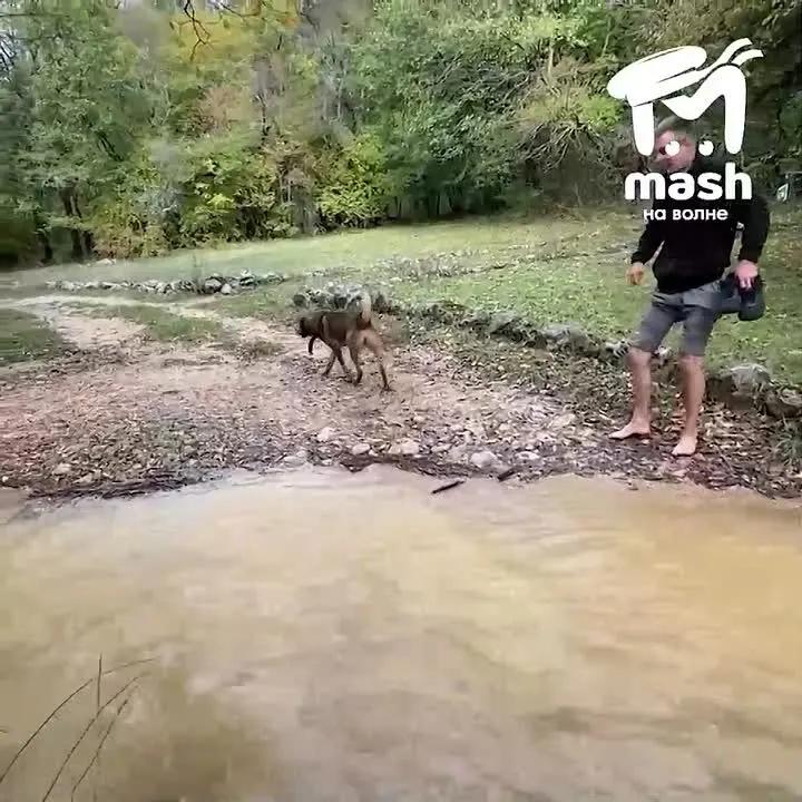 Обложка видео