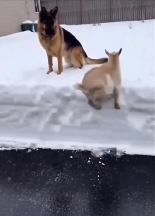 Обложка видео