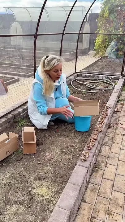Обложка видео