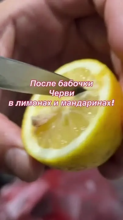 Обложка видео