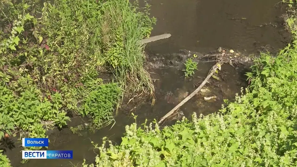 Обложка видео