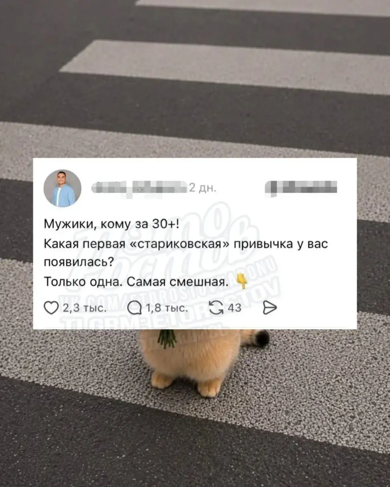 Фото из поста