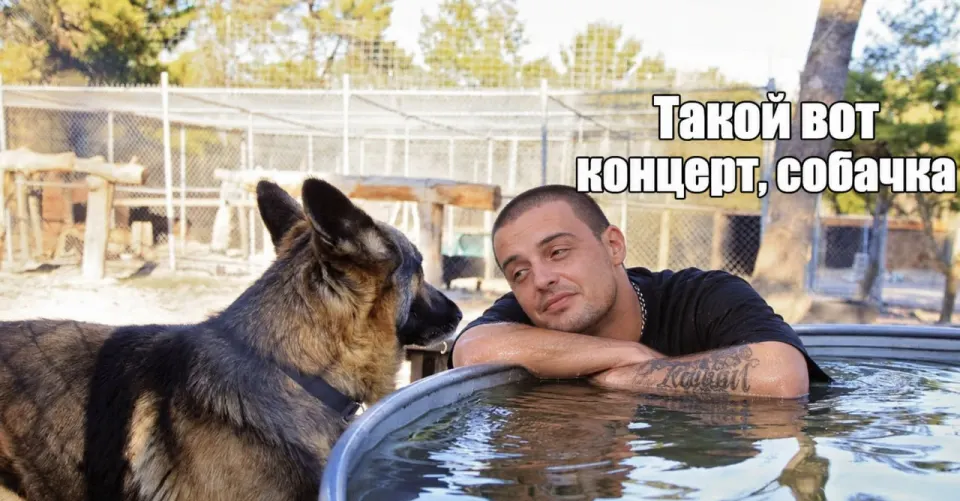 Фото из поста