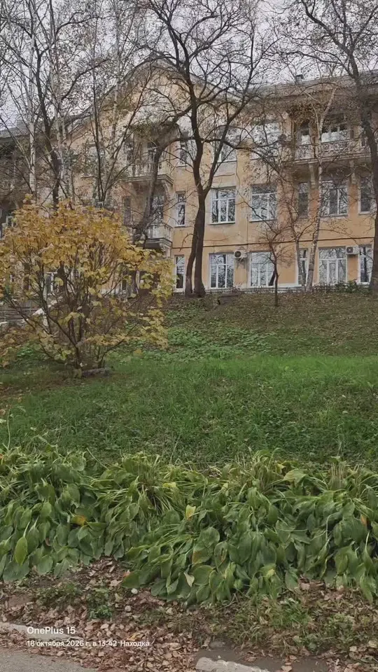 Обложка видео