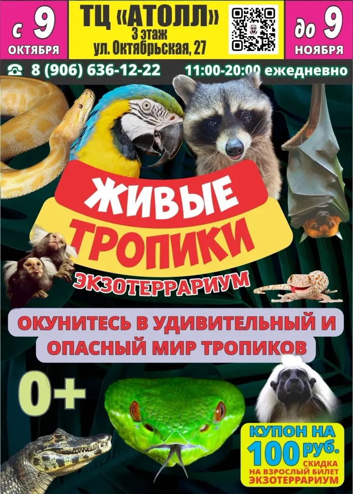 Фото из поста