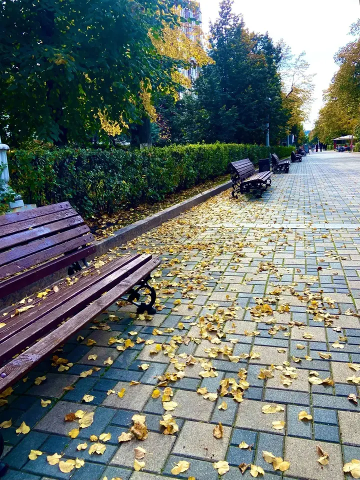 Фото из поста