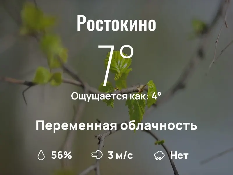 Фото из поста