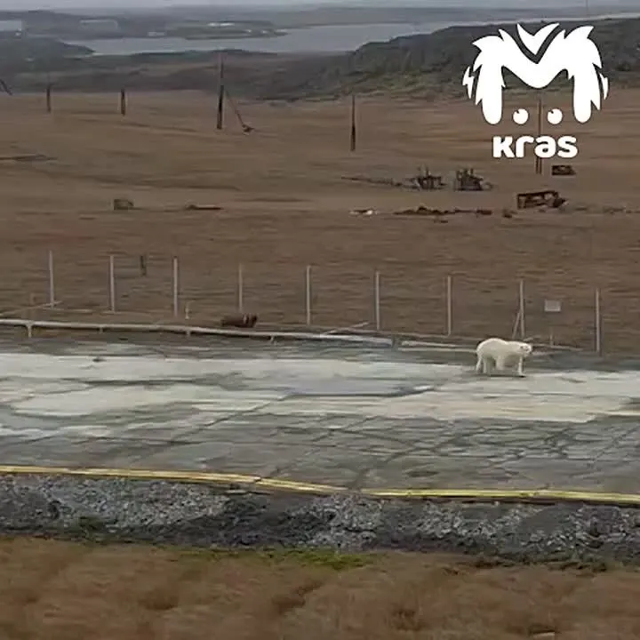 Обложка видео