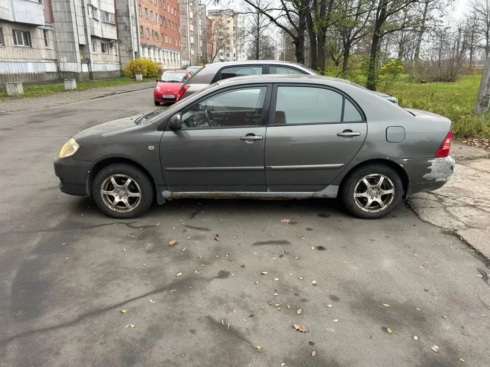 Фото из поста