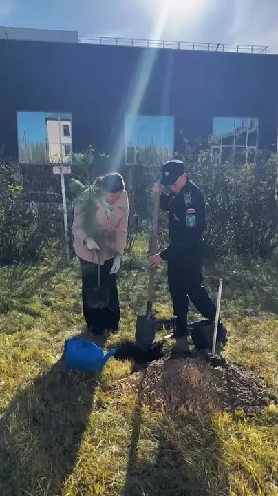 Обложка видео