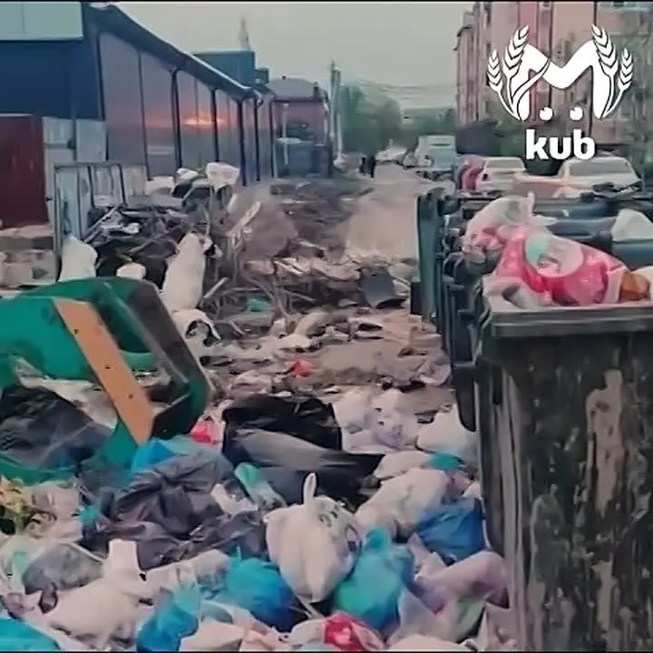 Обложка видео