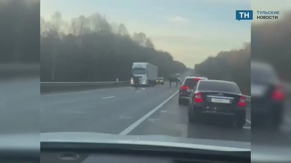 Обложка видео