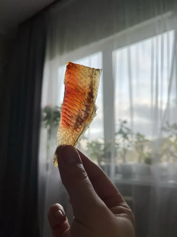 Фото из поста