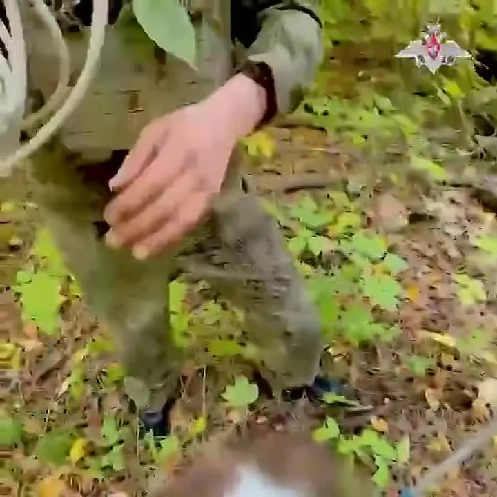 Обложка видео