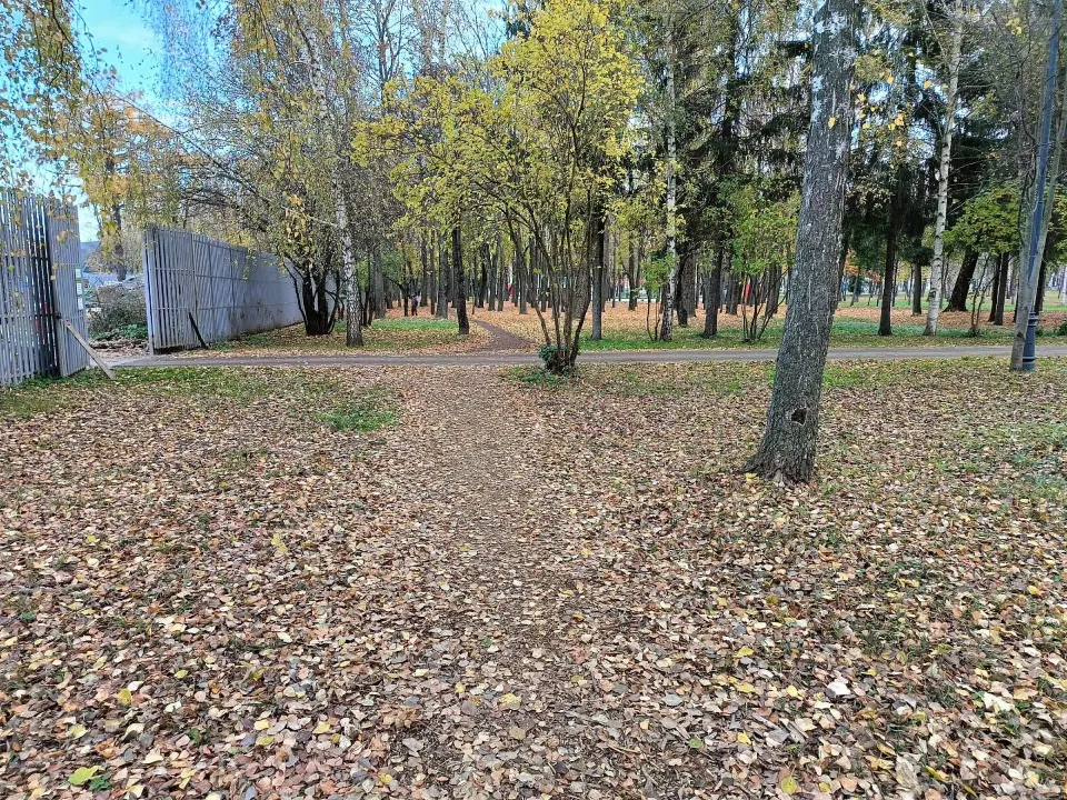 Фото из поста
