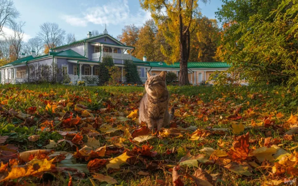 Фото из поста