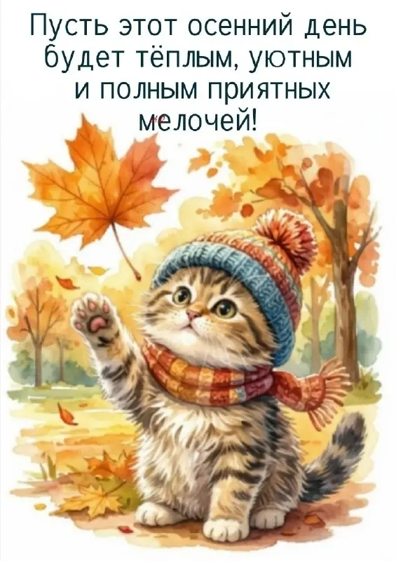 Фото из поста