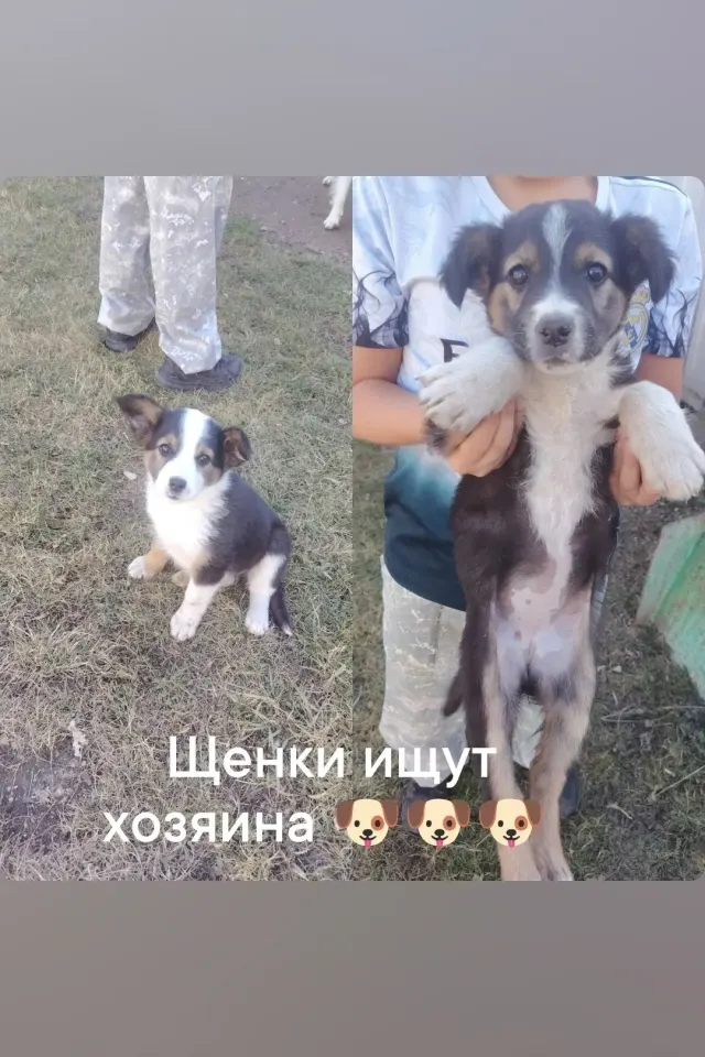 Фото из поста